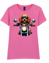 Ladies Biker Cocker Spaniel Softstyle T Shirt