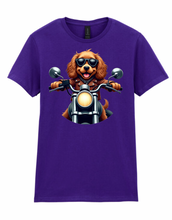 Ladies Biker Cocker Spaniel Softstyle T Shirt