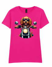 Ladies Biker Cocker Spaniel Softstyle T Shirt