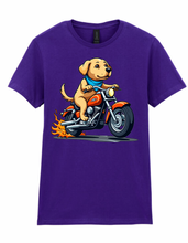 Ladies Biker Labrador Softstyle T Shirt