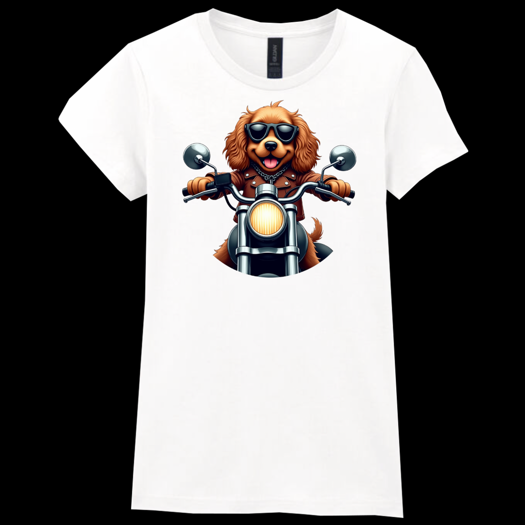 Ladies Biker Cocker Spaniel Softstyle T Shirt