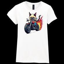 Ladies Biker Maine Coon Softstyle T Shirt