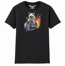Maine Coon Cat Ladies Softstyle T Shirt