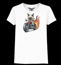 Maine Coon Cat Ladies Softstyle T Shirt