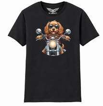 Cocker Spaniel Ladies Softstyle T Shirt
