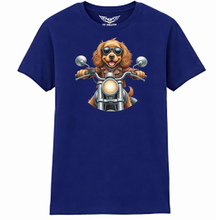 Cocker Spaniel Ladies Softstyle T Shirt