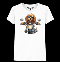 Cocker Spaniel Ladies Softstyle T Shirt