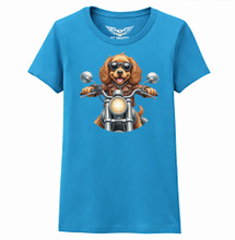 Cocker Spaniel Ladies Softstyle T Shirt