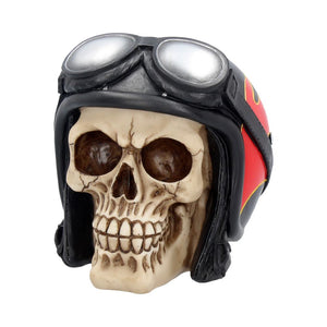 Hell Fire Biker Skull